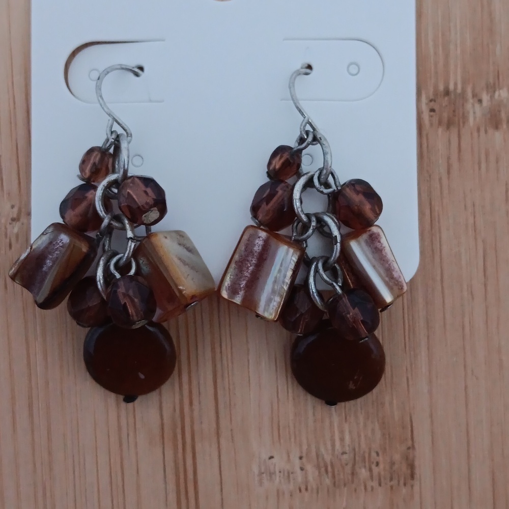 Multi Colored Brown Stone/Glass Dangle Earrings